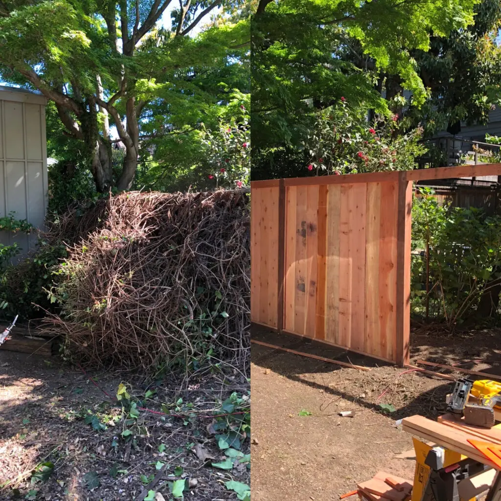 2 partial fence and foliage