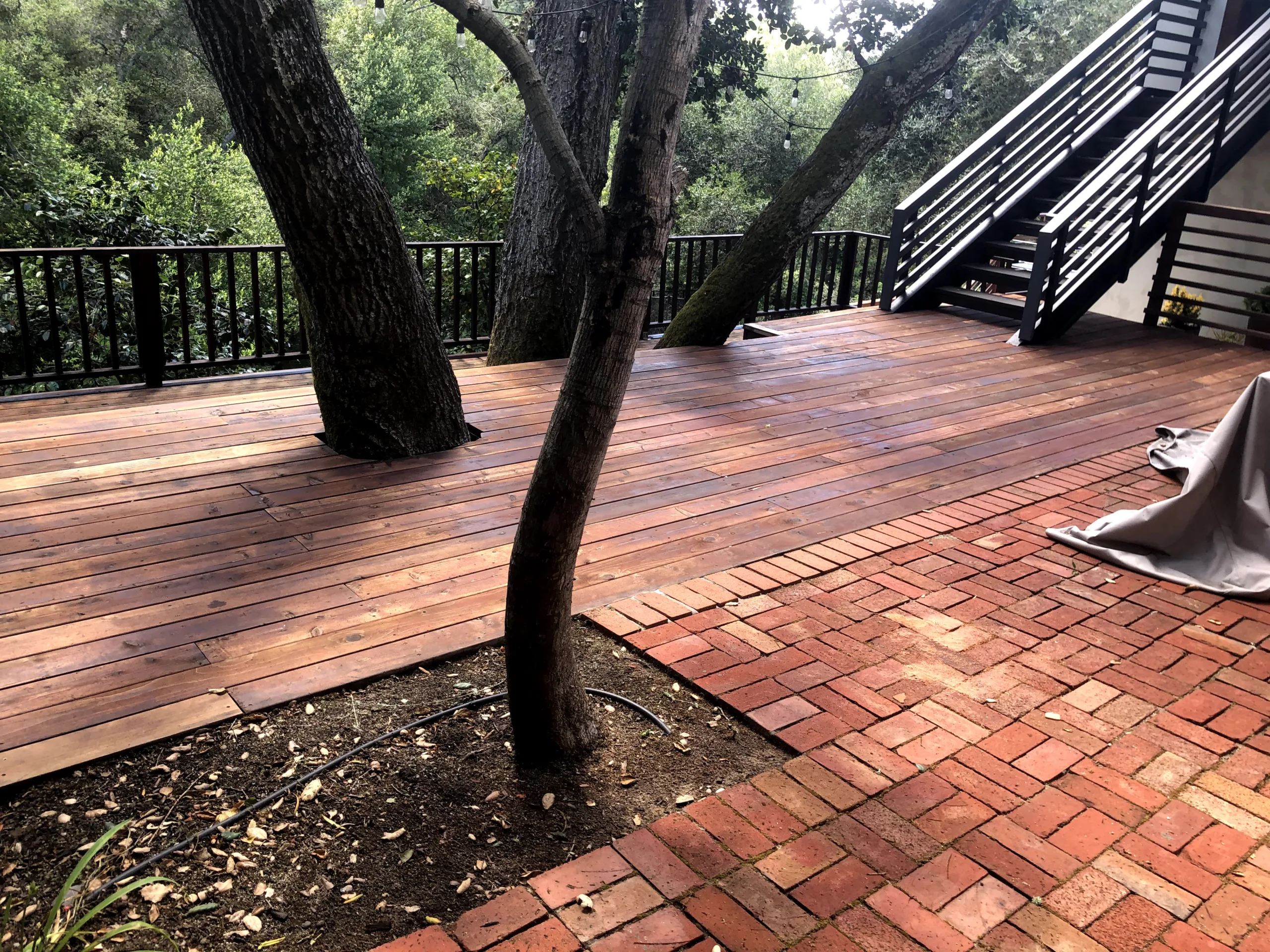 Albany 25 second deck scaled